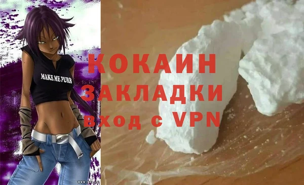 apvp Вяземский